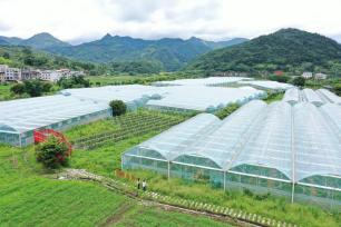 台湾母女田园创业记