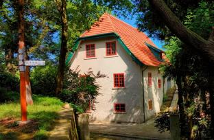 河南信阳：“醉”美鸡公山 盛夏无酷暑