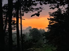 河南信阳：“醉”美鸡公山 盛夏无酷暑