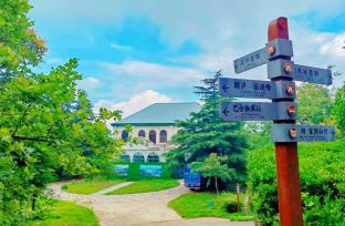 河南信阳：“醉”美鸡公山 盛夏无酷暑