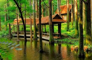 河南信阳：“醉”美鸡公山 盛夏无酷暑