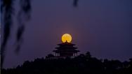 年度“最大满月”亮相夜空
