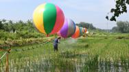 江苏泗洪：巧用气球喷洒农药