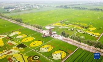 内蒙古扎赉特旗：农旅融合助力乡村振兴