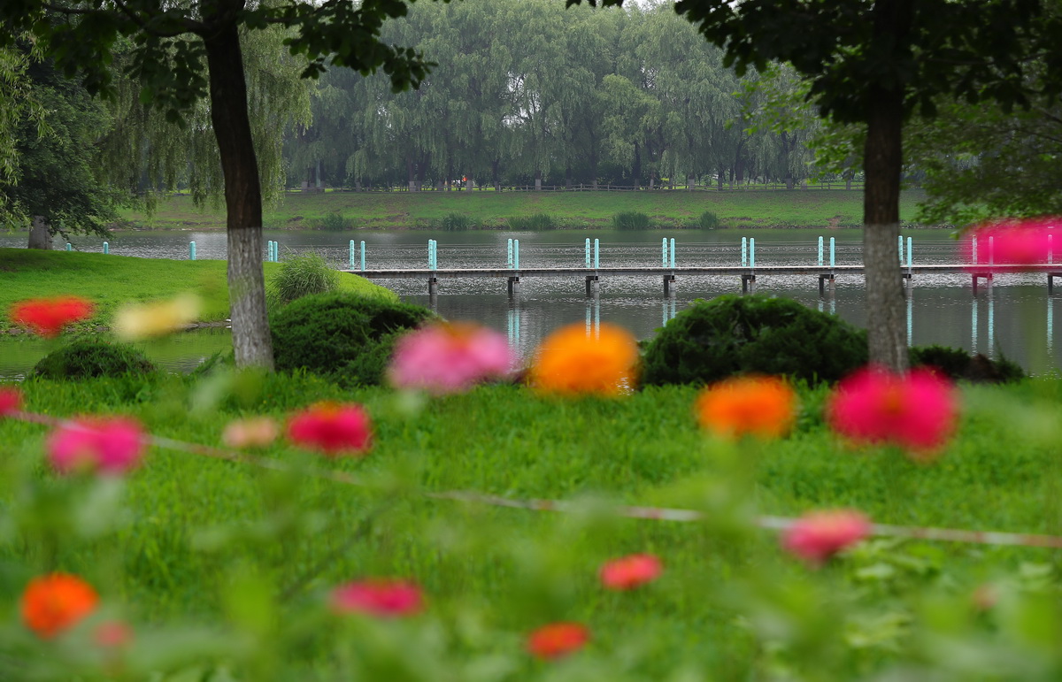 辽宁沈阳：细河旧貌换新颜