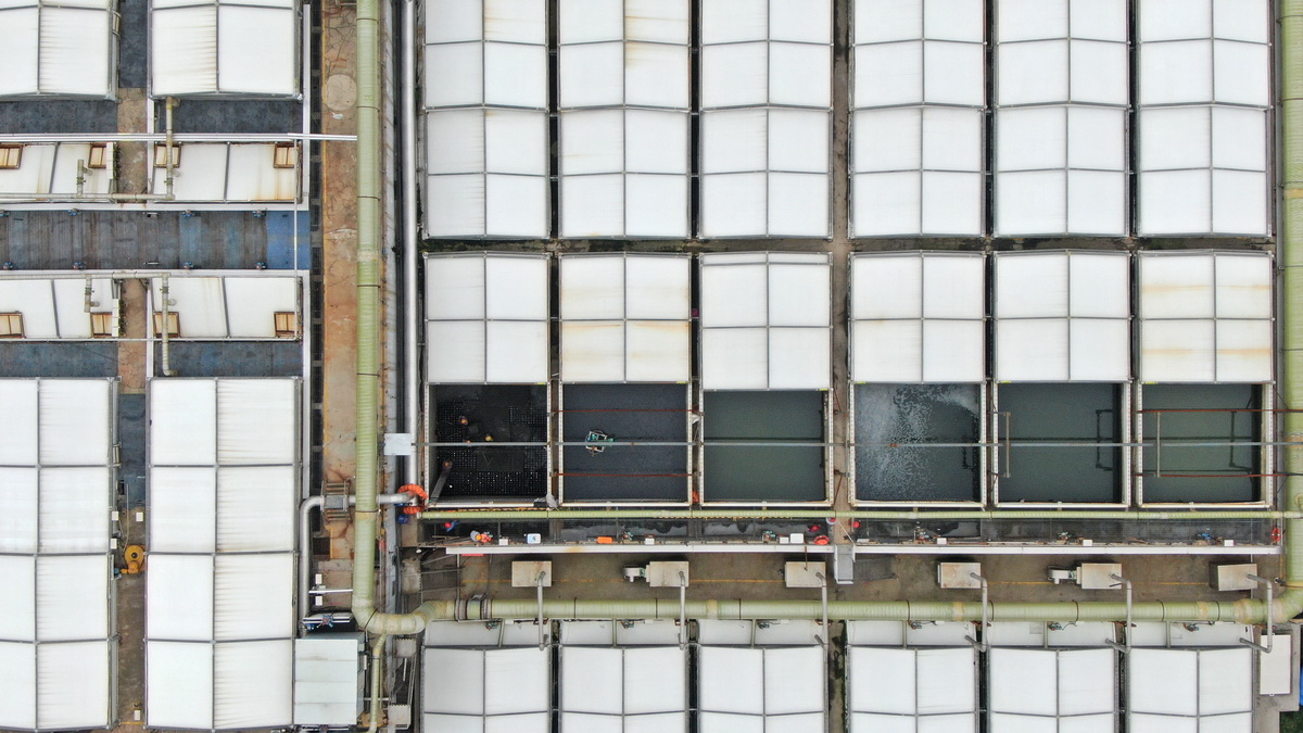 辽宁沈阳：细河旧貌换新颜