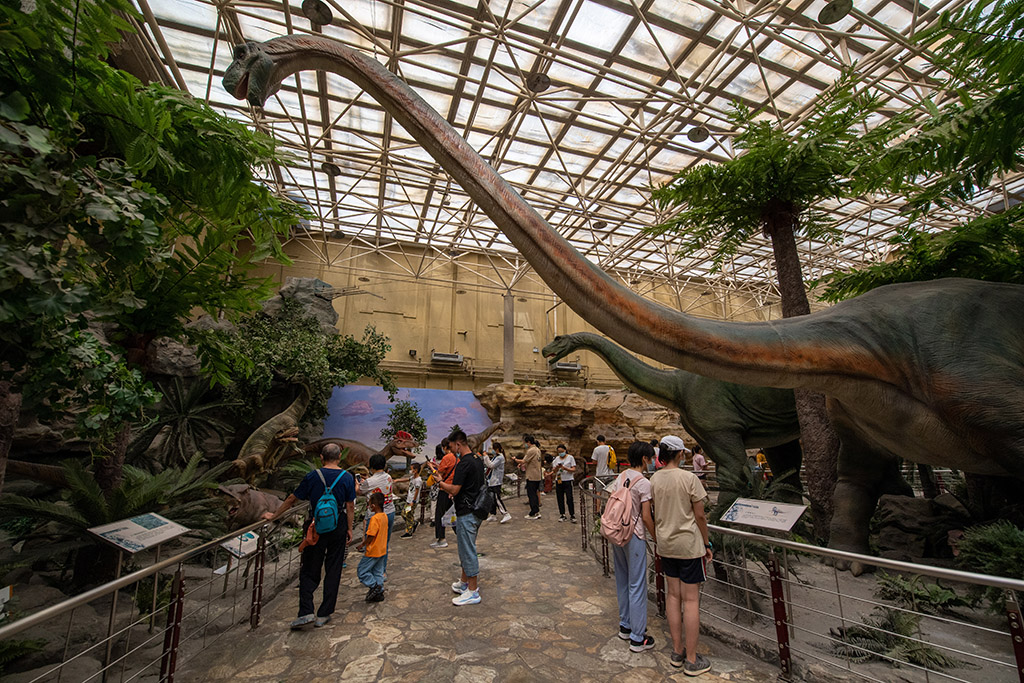 北京：走进博物馆 快乐度暑假