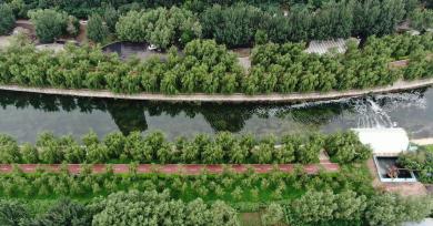 辽宁沈阳：细河旧貌换新颜