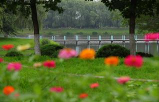 辽宁沈阳：细河旧貌换新颜