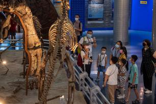 北京：走进博物馆 快乐度暑假