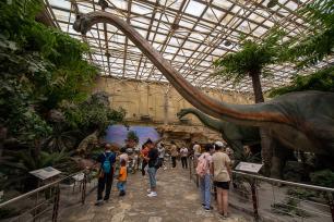 北京：走进博物馆 快乐度暑假