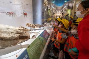 北京：走进博物馆 快乐度暑假