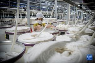 湖北：“老产业”新起来 “新产业”强起来