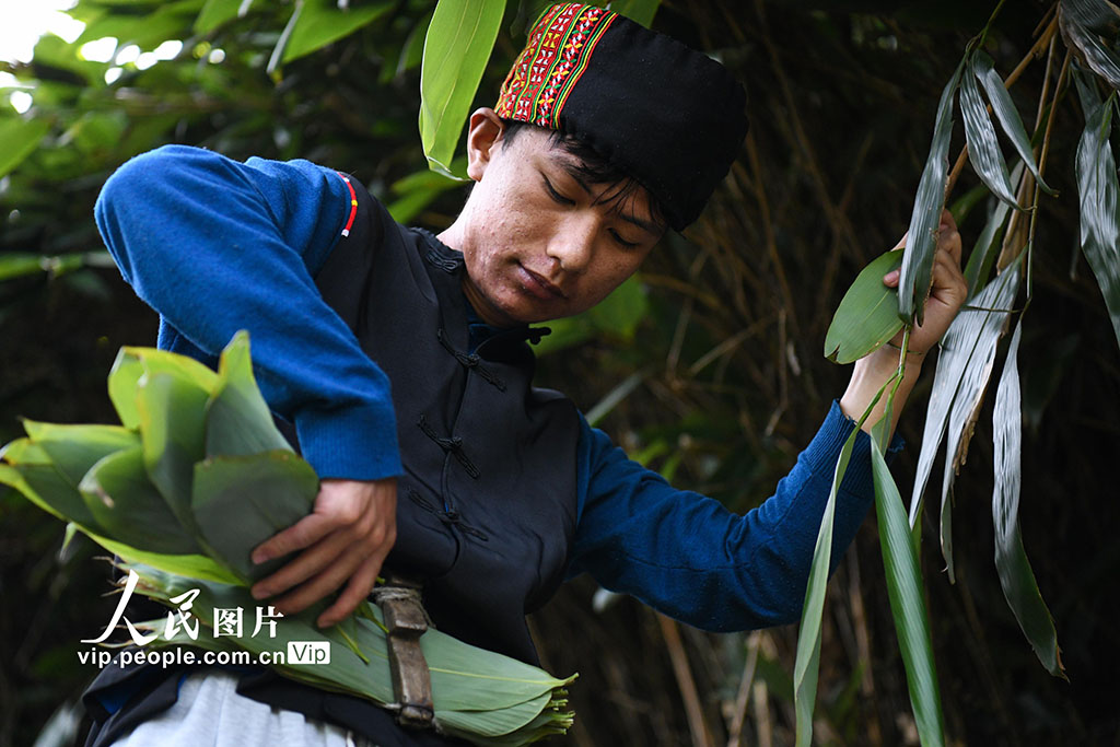 湖南常宁：小小箬叶助增收 助力乡村振兴