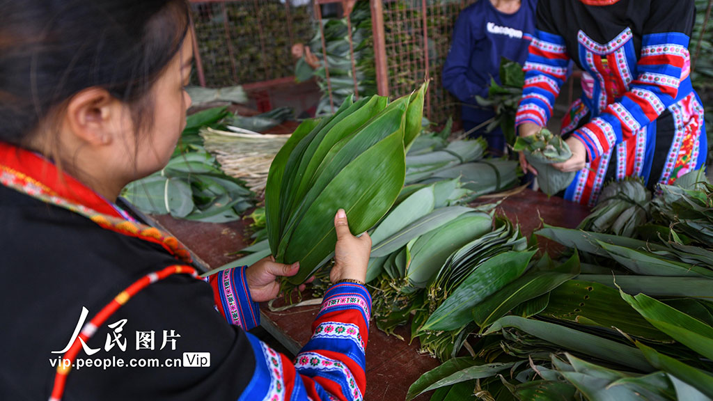 湖南常宁：小小箬叶助增收 助力乡村振兴