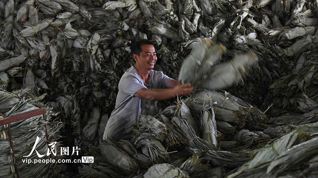 湖南常宁：小小箬叶助增收 助力乡村振兴