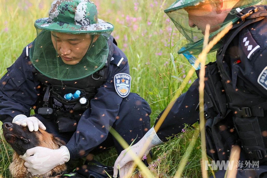 新疆阿勒泰：边境移民管理警察“全副武装”战蚊虫