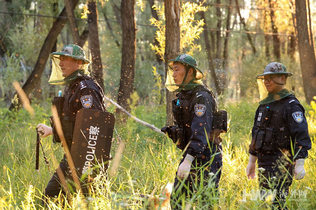 新疆阿勒泰：边境移民管理警察“全副武装”战蚊虫