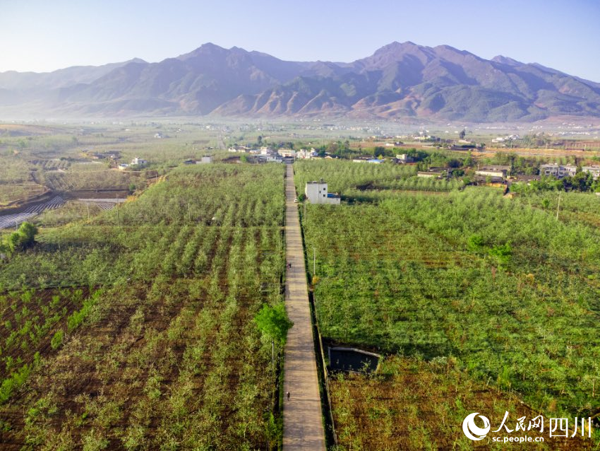 翻天覆地的大凉山乡村路