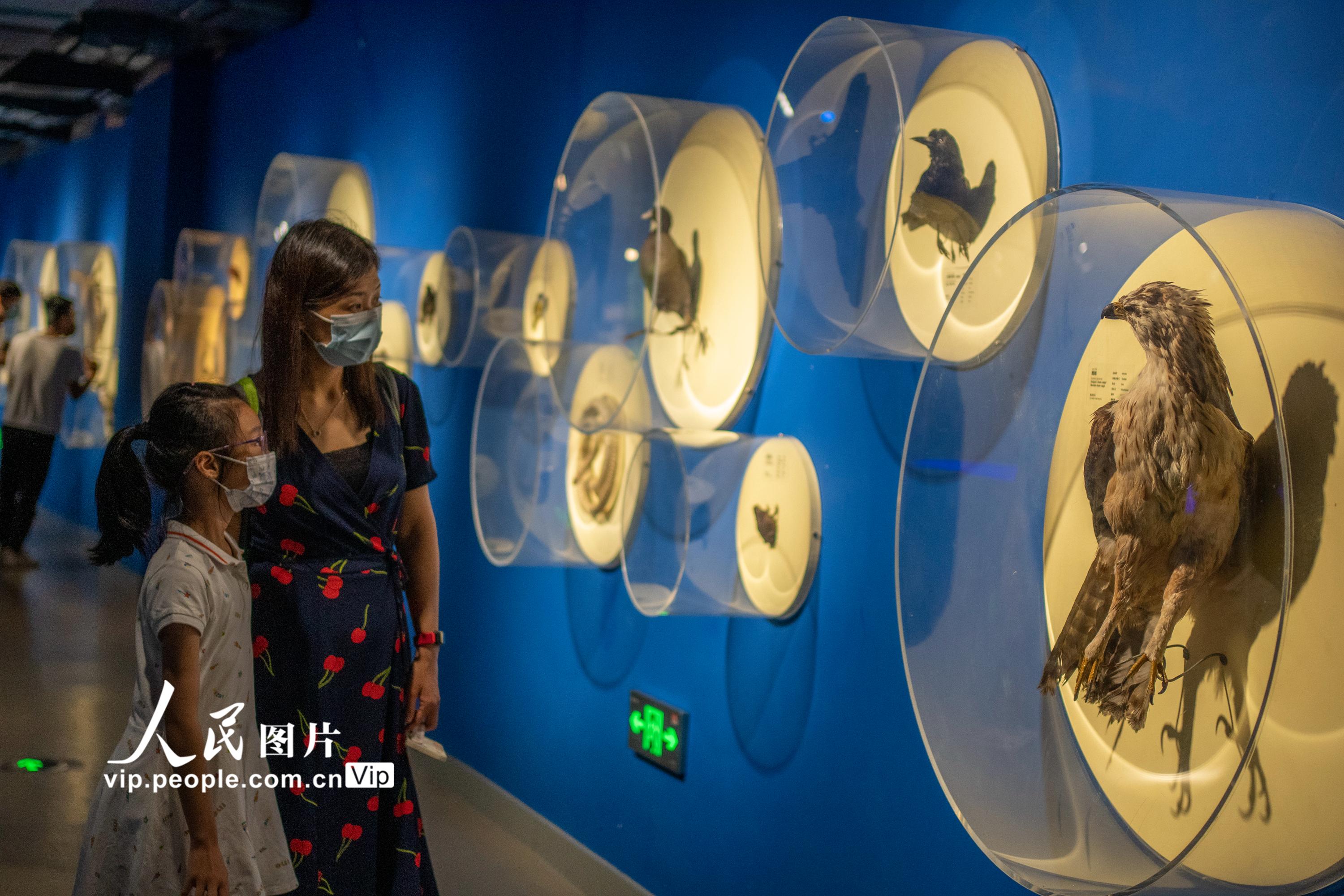 海南琼海：走进博物馆 快乐度暑假