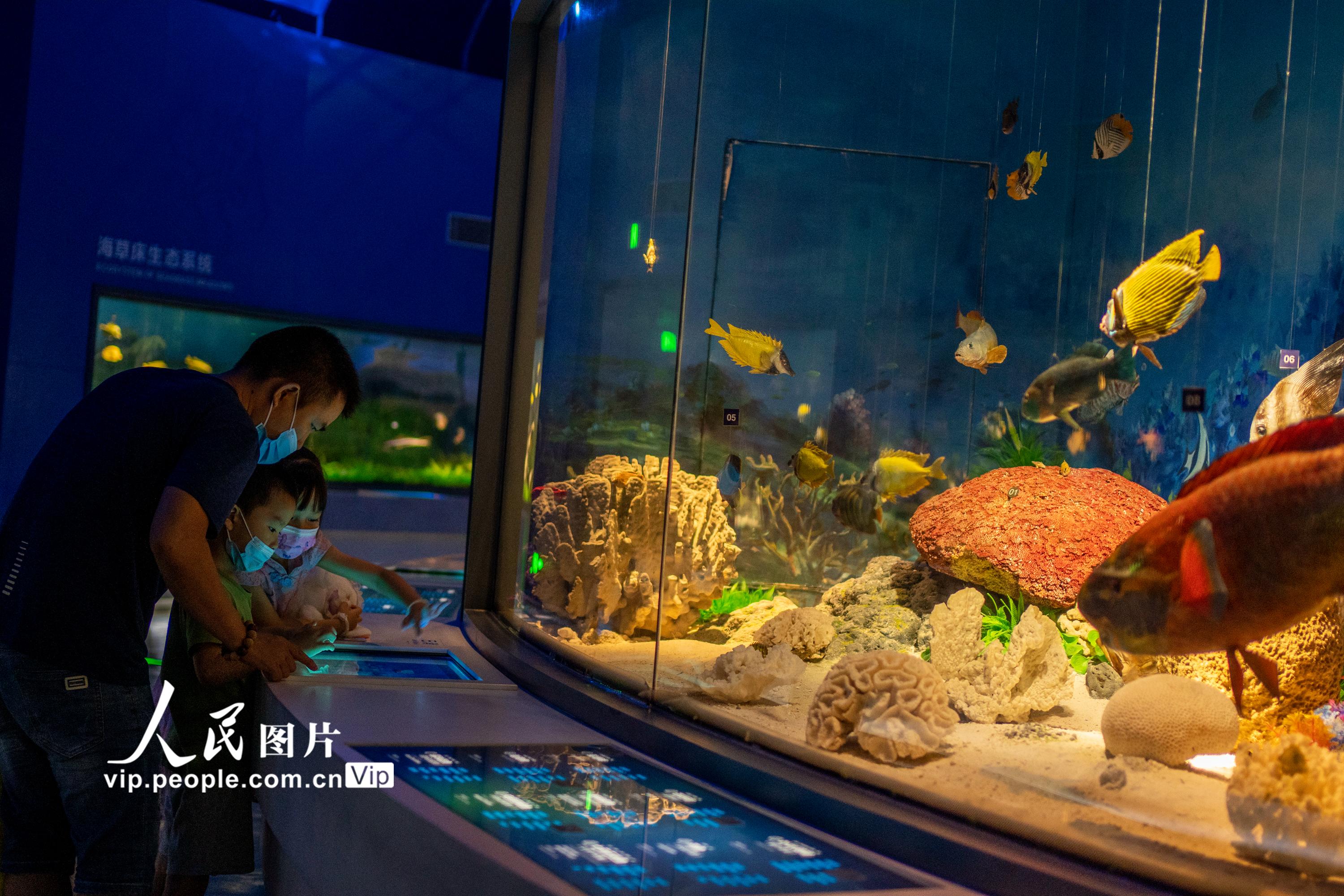 海南琼海：走进博物馆 快乐度暑假