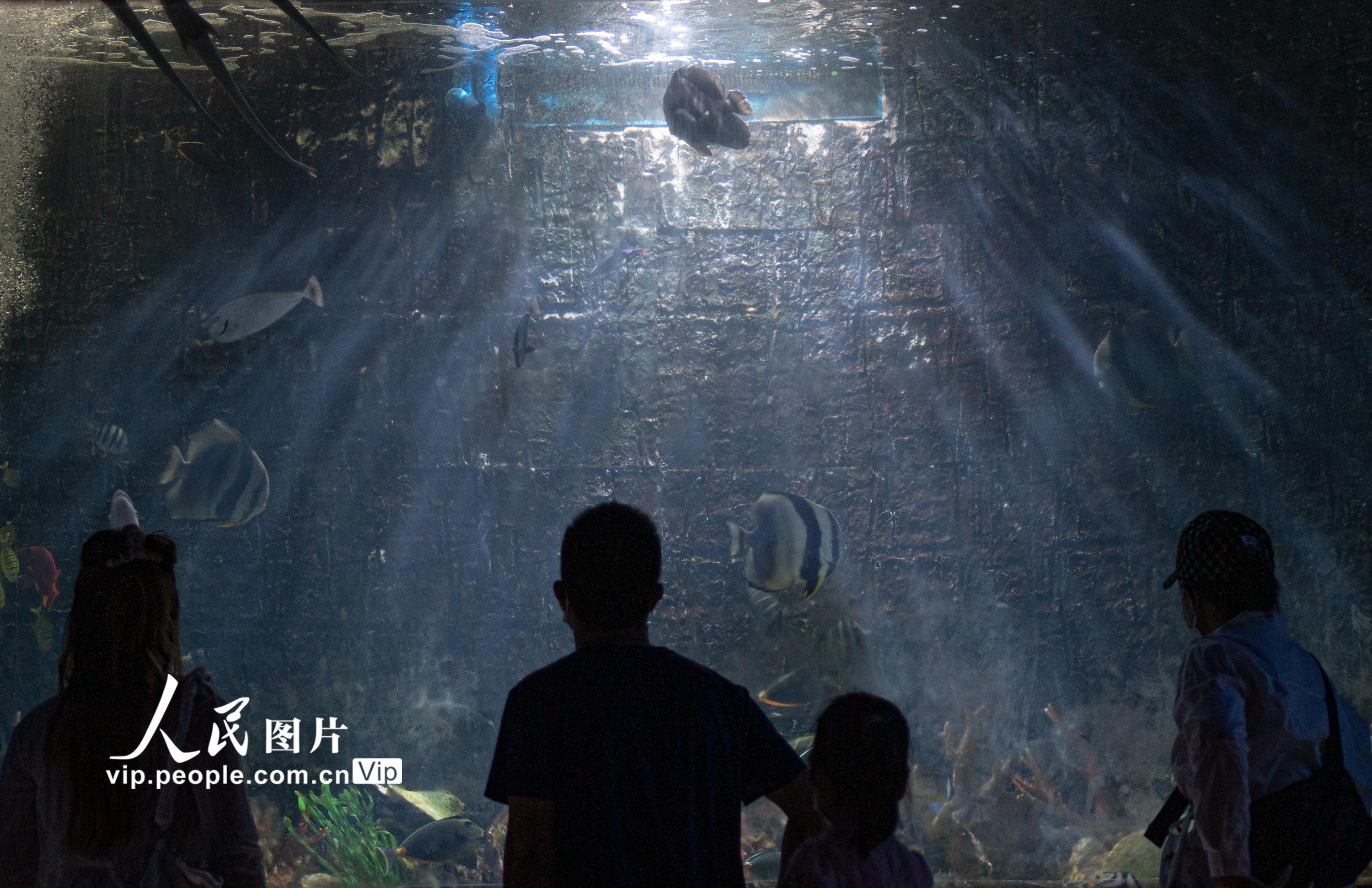 海南琼海：走进博物馆 快乐度暑假