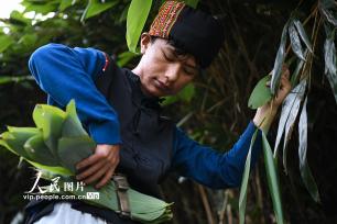 湖南常宁：小小箬叶助增收 助力乡村振兴