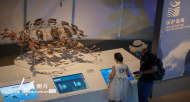 海南琼海：走进博物馆 快乐度暑假