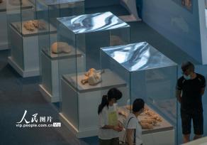 海南琼海：走进博物馆 快乐度暑假