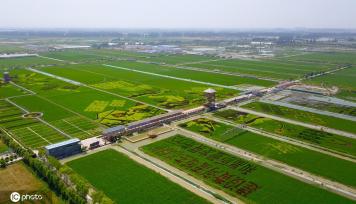 宁夏贺兰：“绘”出巨幅“稻田画”