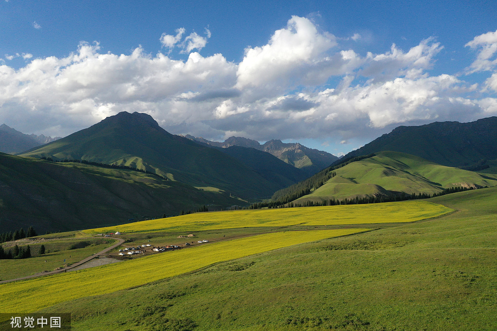 新疆巴州万亩油菜花盛开