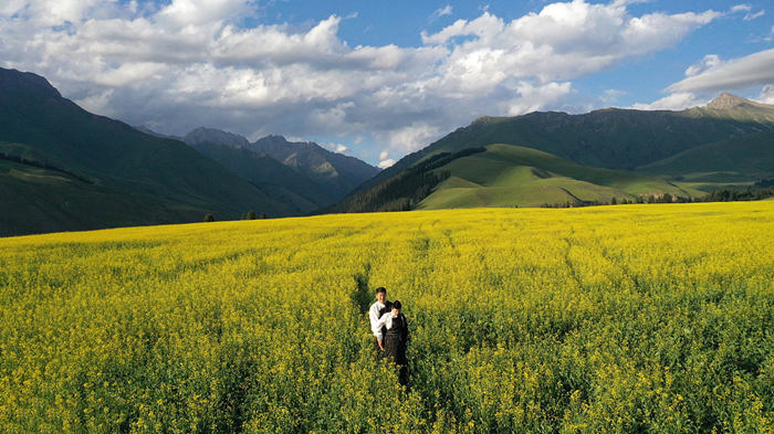 新疆巴州万亩油菜花盛开
