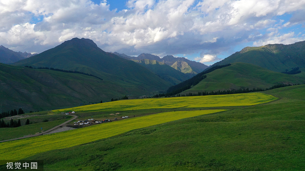 新疆巴州万亩油菜花盛开