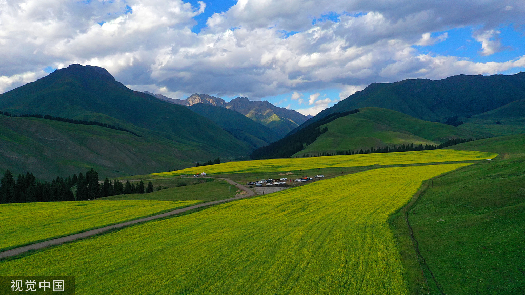 新疆巴州万亩油菜花盛开