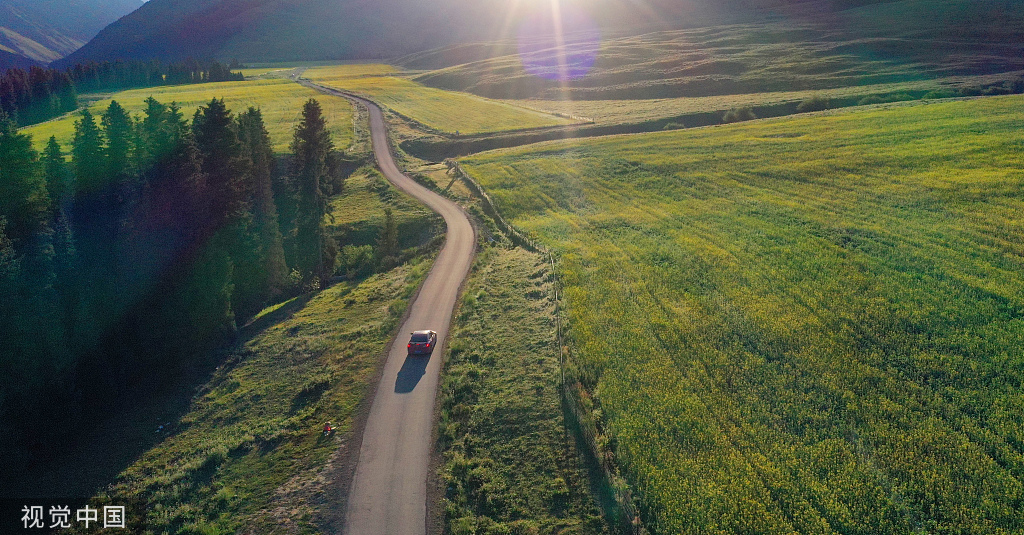 新疆巴州万亩油菜花盛开