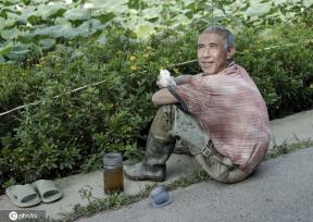 盛夏时节 四川眉山东坡区采收早熟莲藕忙