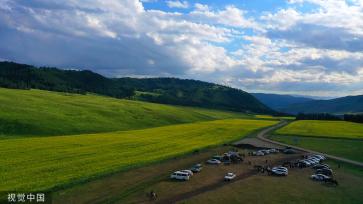 新疆巴州万亩油菜花盛开