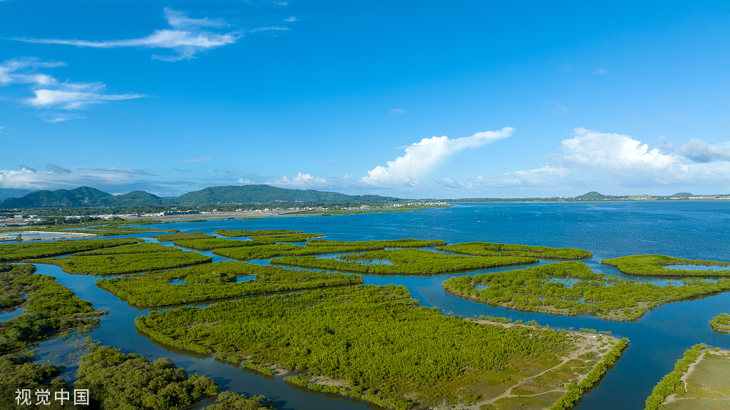 海南陵水湿地生态修复工作卓有成效