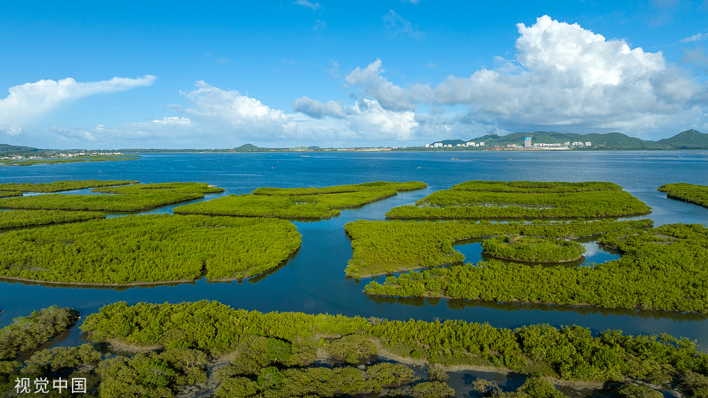 海南陵水湿地生态修复工作卓有成效