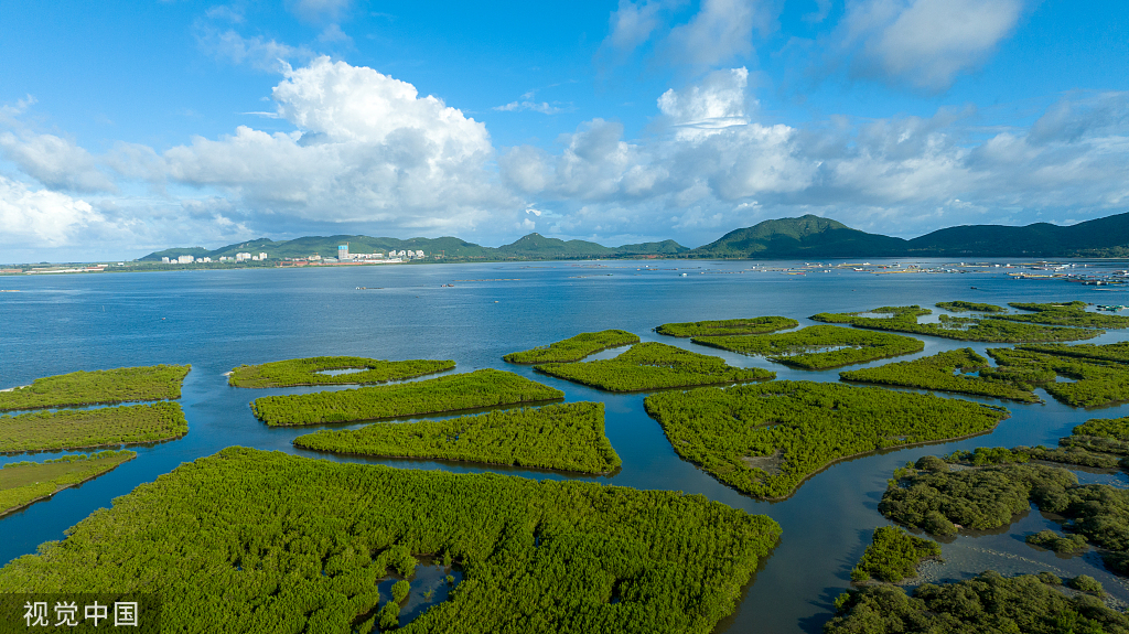 海南陵水湿地生态修复工作卓有成效