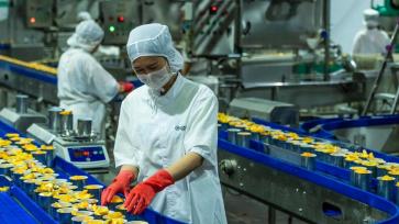 湖北秭归：黄桃出口加工忙