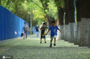 北京盛夏槐花香 落花飘落铺满地面成京城一景