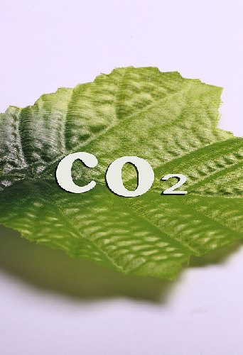 成果展前瞻｜双碳的每一步，都算“数”！