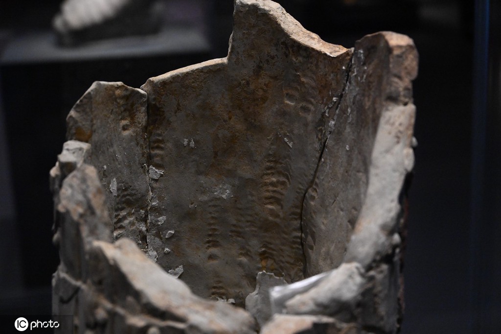 一大波秦始皇陵兵马俑亮相上海