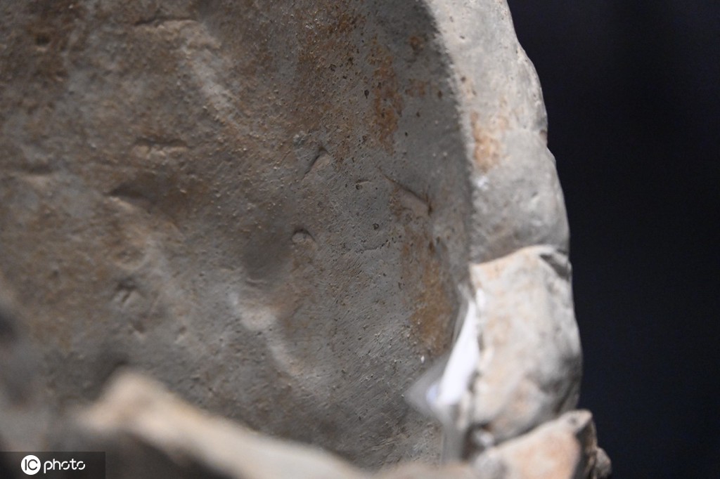 一大波秦始皇陵兵马俑亮相上海