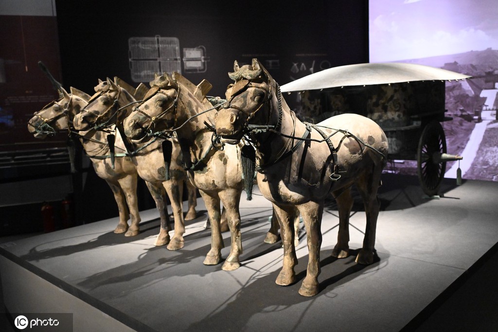 一大波秦始皇陵兵马俑亮相上海