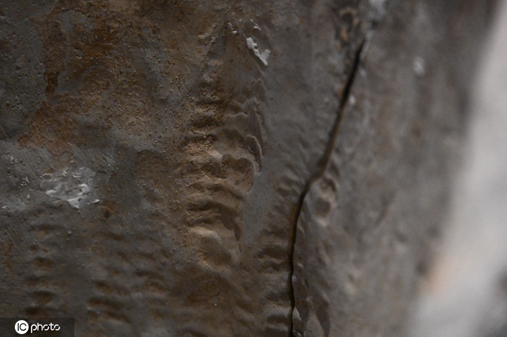 一大波秦始皇陵兵马俑亮相上海