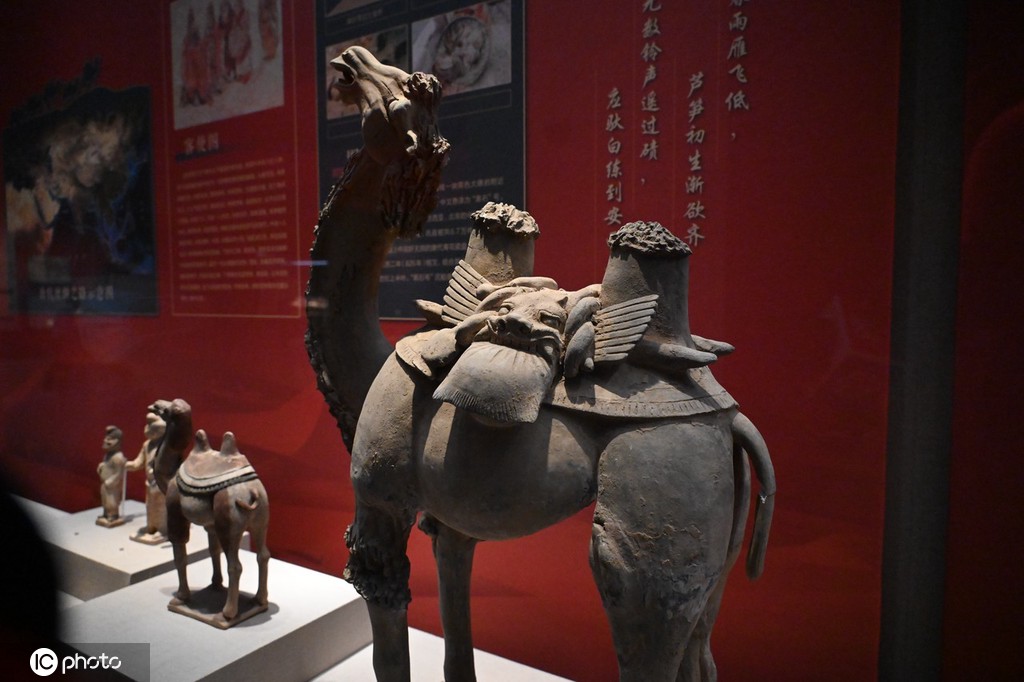 一大波秦始皇陵兵马俑亮相上海