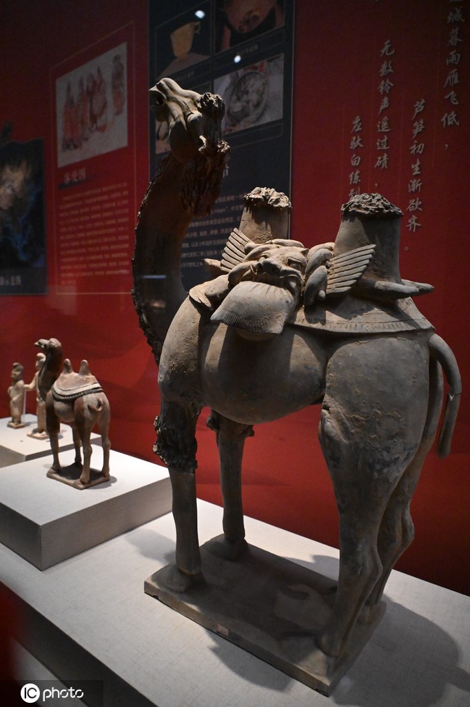 一大波秦始皇陵兵马俑亮相上海