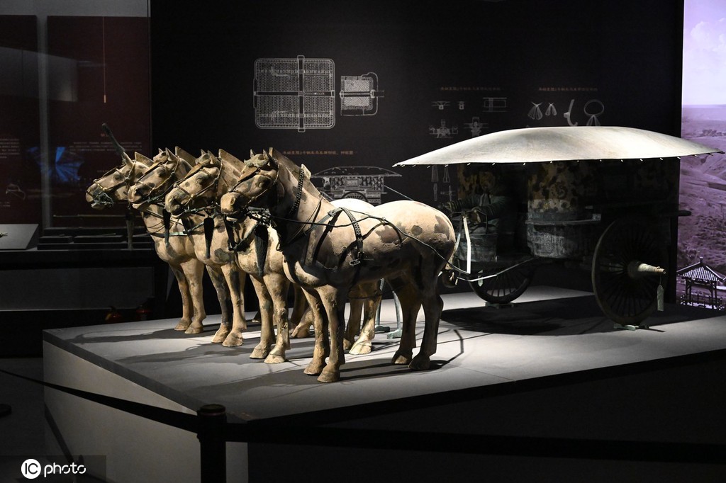 一大波秦始皇陵兵马俑亮相上海